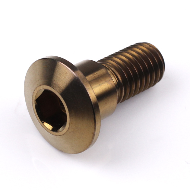 Suzuki Late Titanium Front Disc Bolt M8 (1.25mm) x 22mm Bronze 