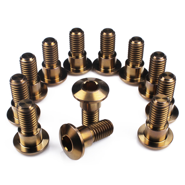 Suzuki Late Titanium Front Disc Bolts M8 (1.25mm) x 22mm Bronze Qty x 12