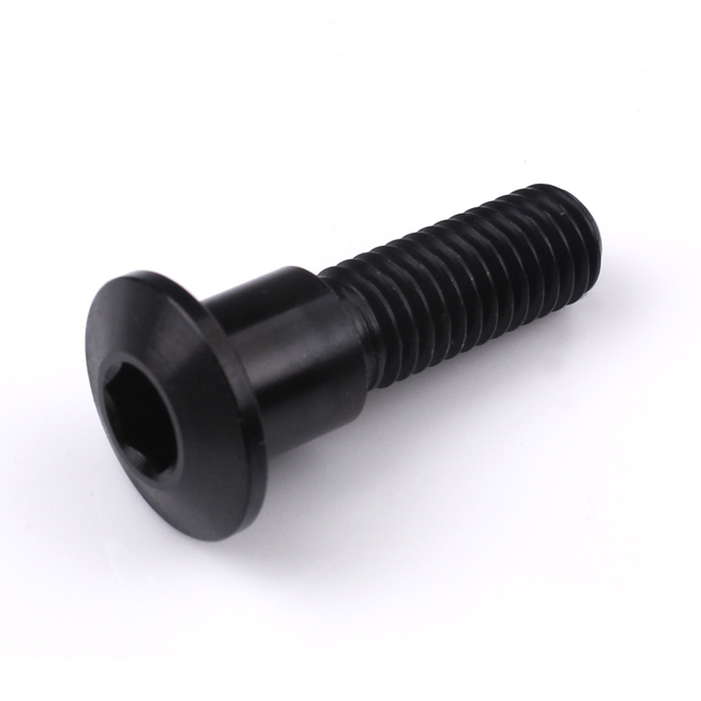 Triumph Titanium Front Disc Bolt M8 (1.25mm) x 30mm Black