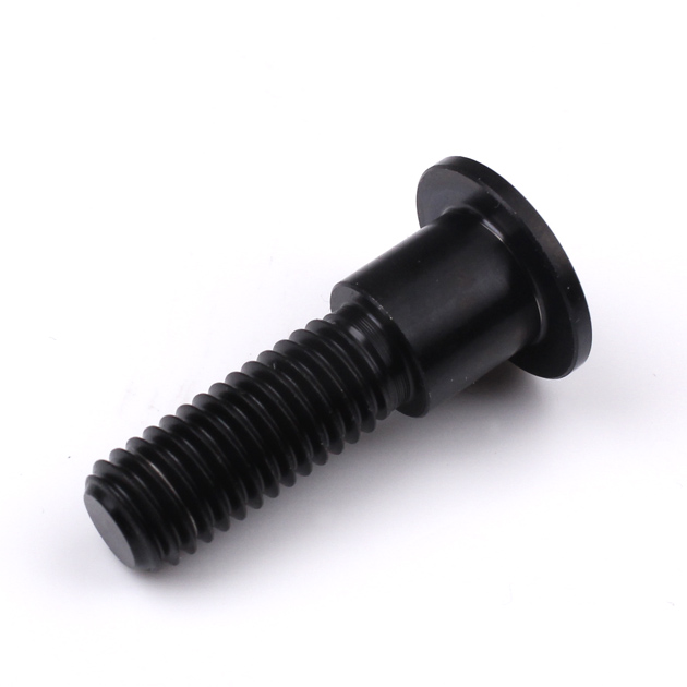 Triumph Titanium Front Disc Bolts M8 (1.25mm) x 30mm Black