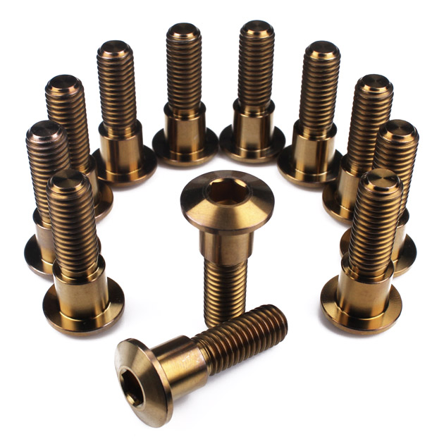 Triumph Titanium Front Disc Bolts M8 (1.25mm) x 30mm Bronze Qty x 12