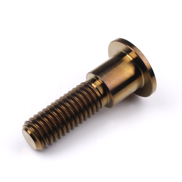 Triumph Titanium Front Disc Bolts M8 (1.25mm) x 30mm Bronze